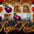 Royal Reels